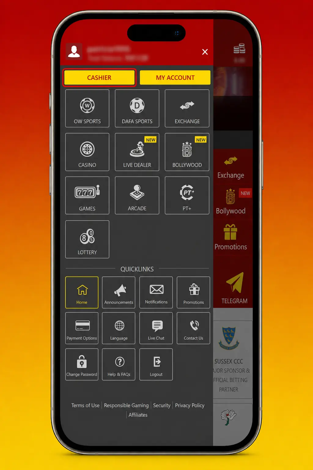Step-by-step screenshot showing how to deposit money at Dafabet using UPI, Net Banking, or cards.